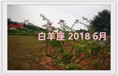 白羊座 2018 6月